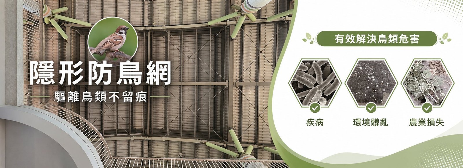Discreet bird netting: deters birds without marking the building, addressing disease, mess and crop loss
