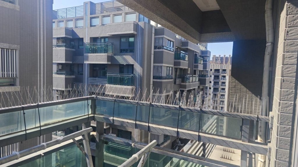 Stainless-steel bird spikes installed on a railing
