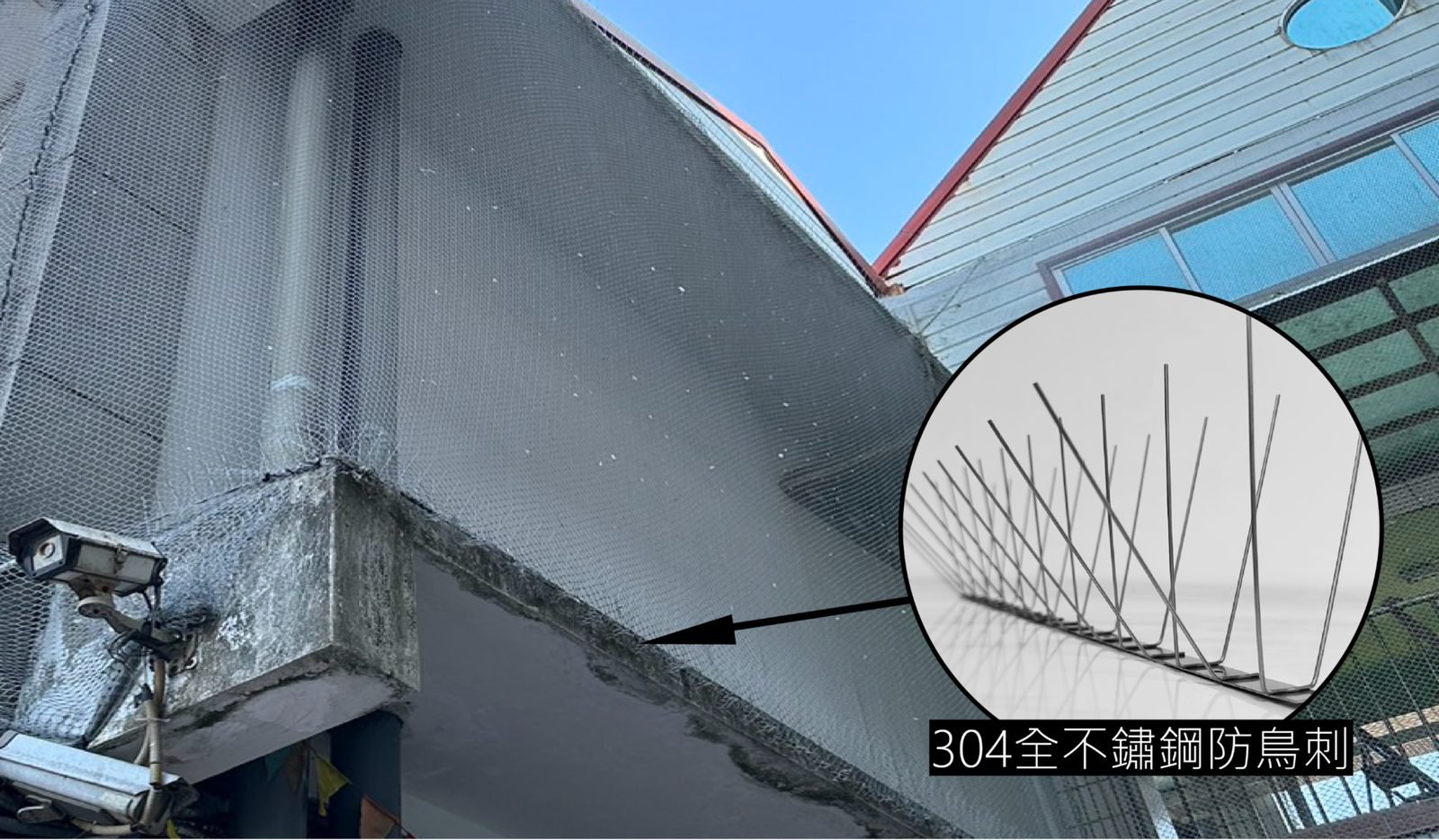 304 stainless-steel bird spikes under a school eave