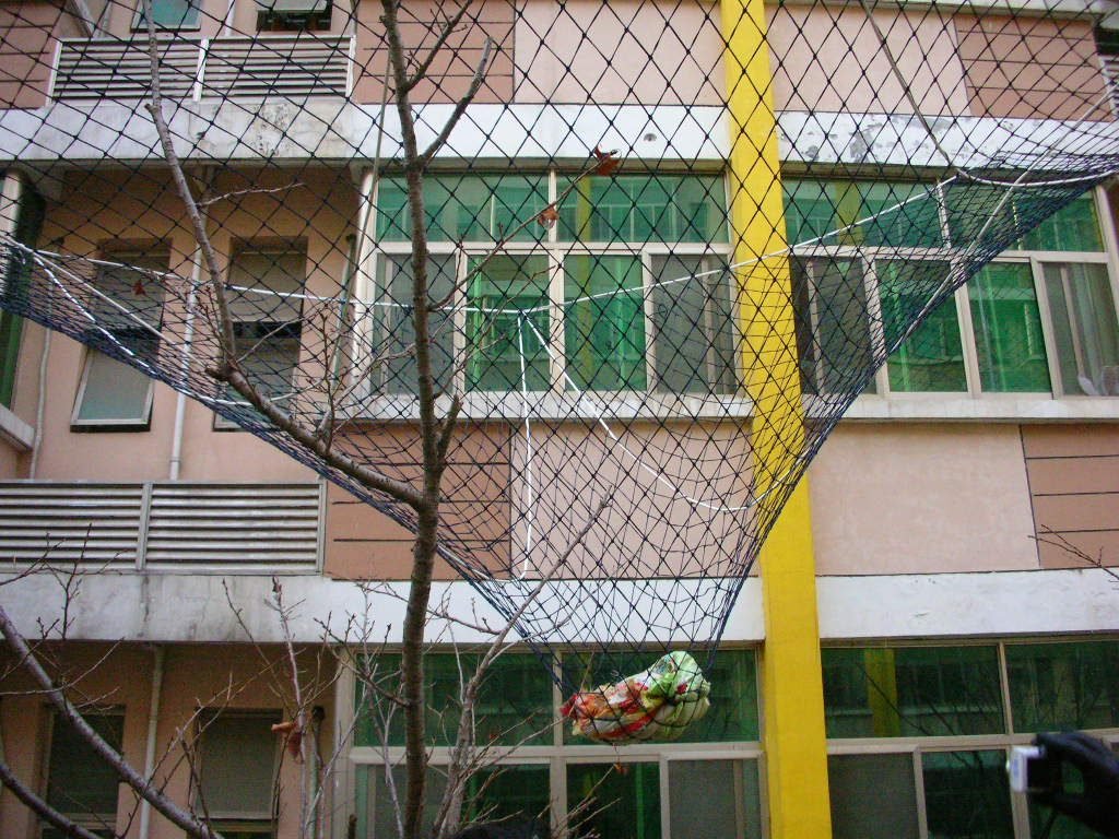 一洲安全網動態測試結果