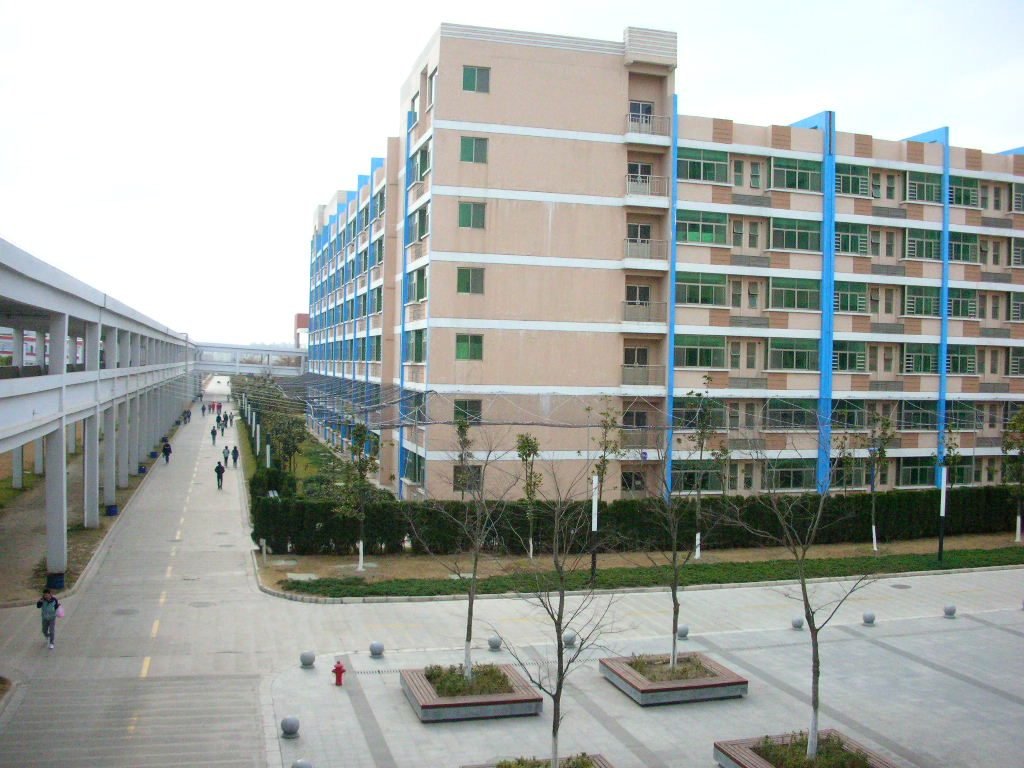 淮O廠安全網架設情形