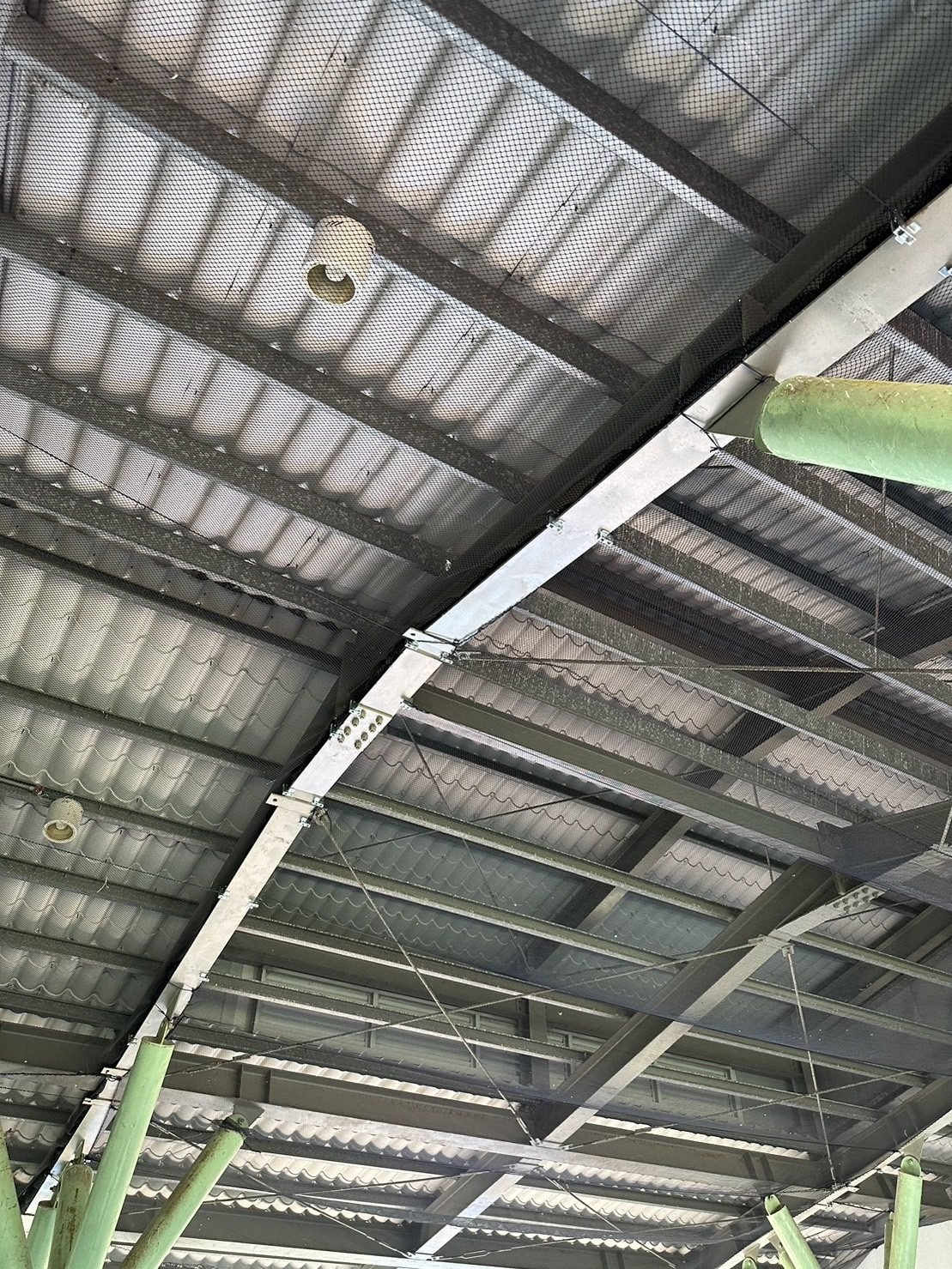 Netting under a steel school roof