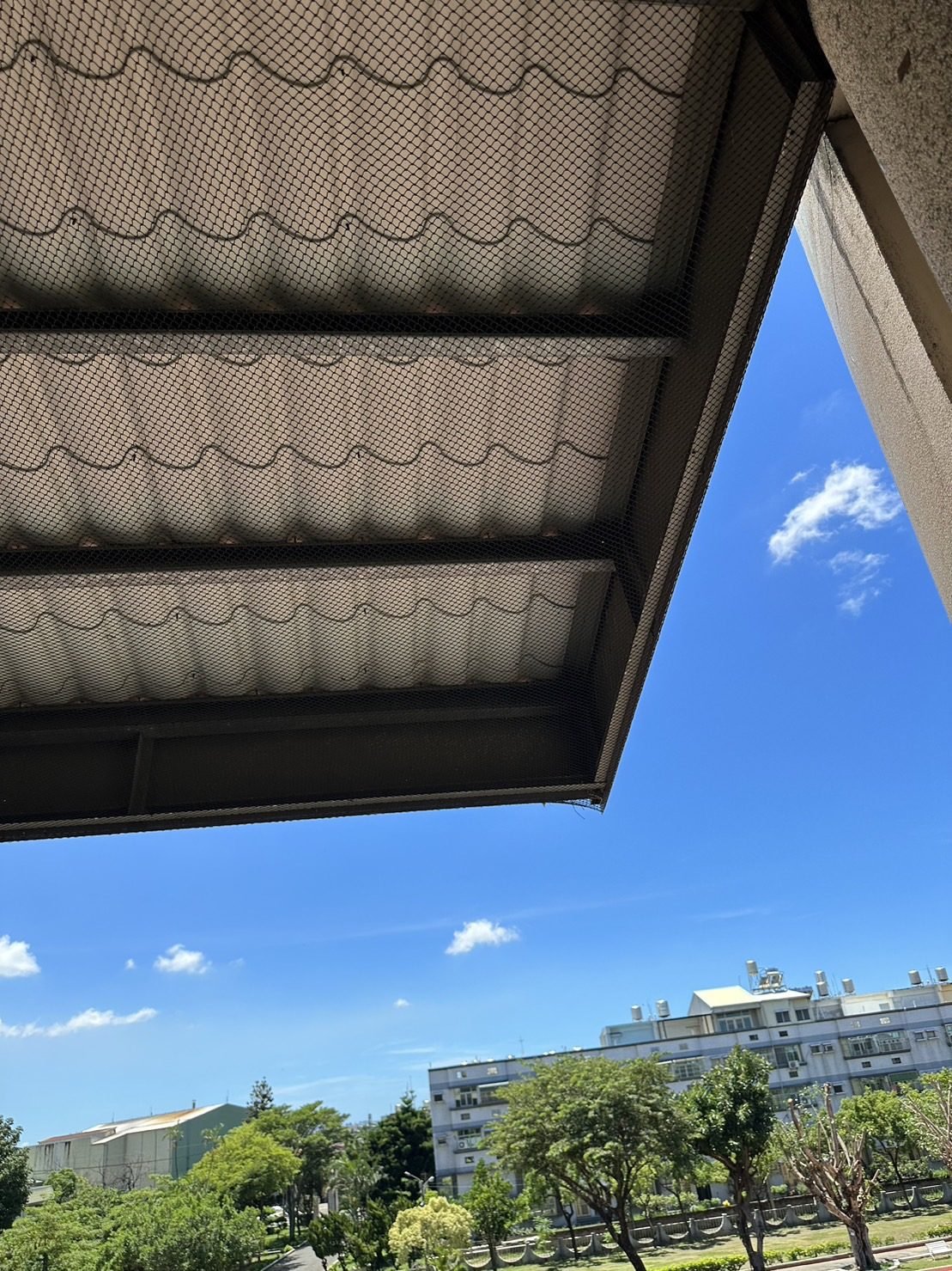 Bird netting under a school eave