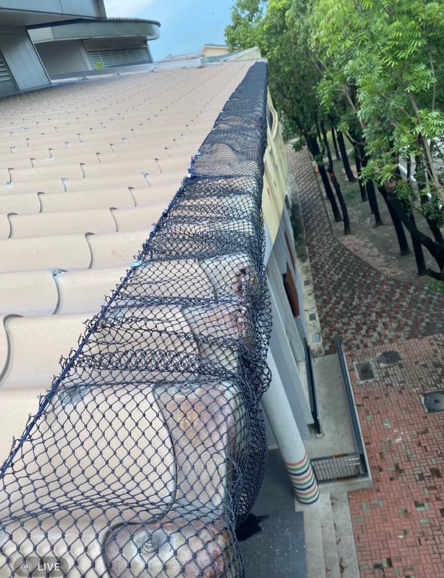 Bird netting beside an eave gutter